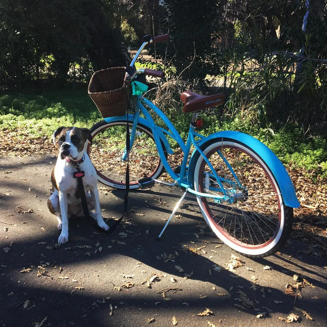 sixthreezero Classic Edition Single Speed Women's Beach Cruiser Bike