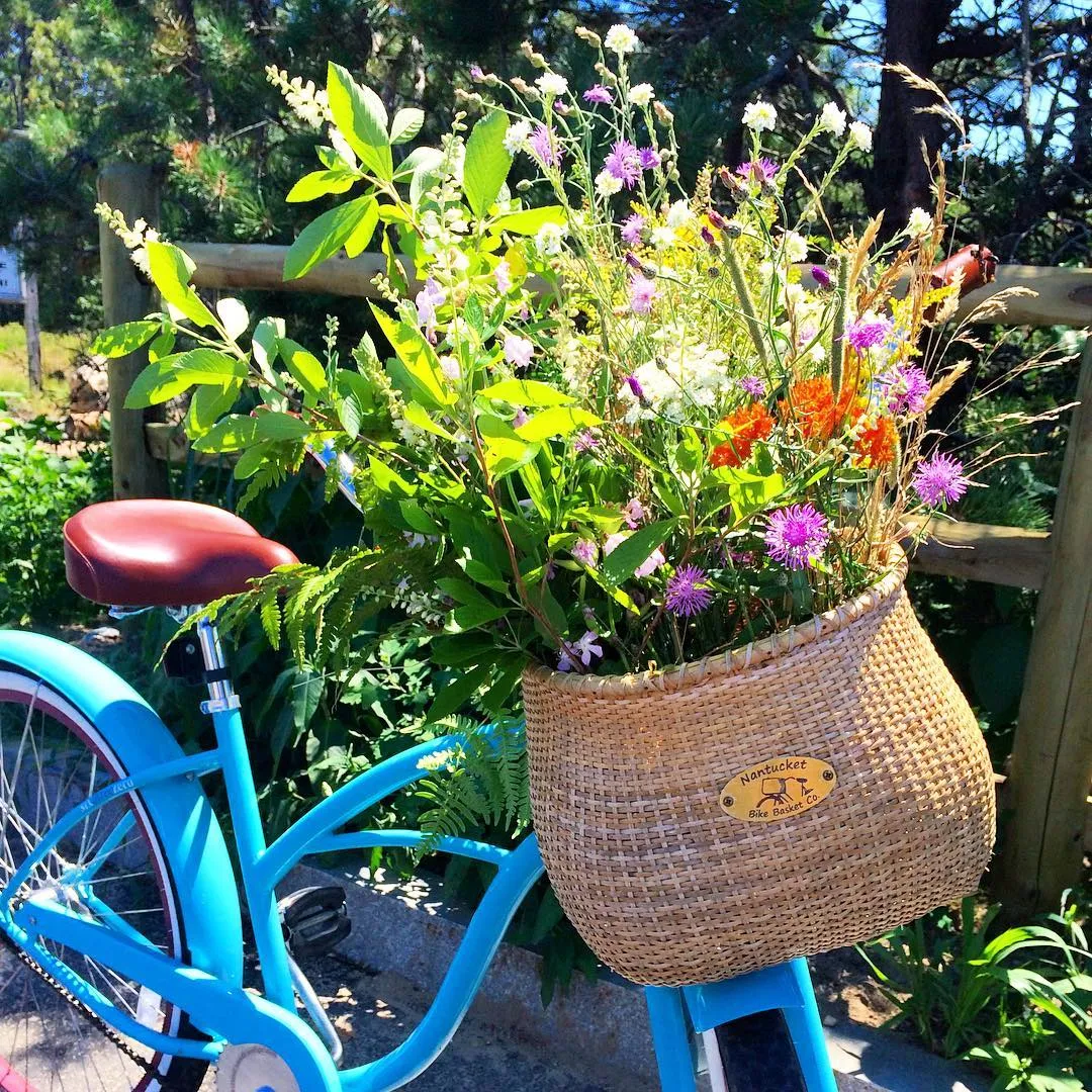 sixthreezero Classic Edition Single Speed Women's Beach Cruiser Bike