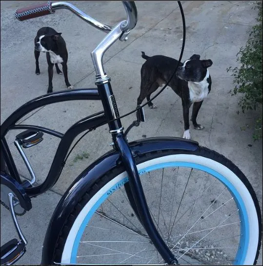 sixthreezero Classic Edition Single Speed Women's Beach Cruiser Bike