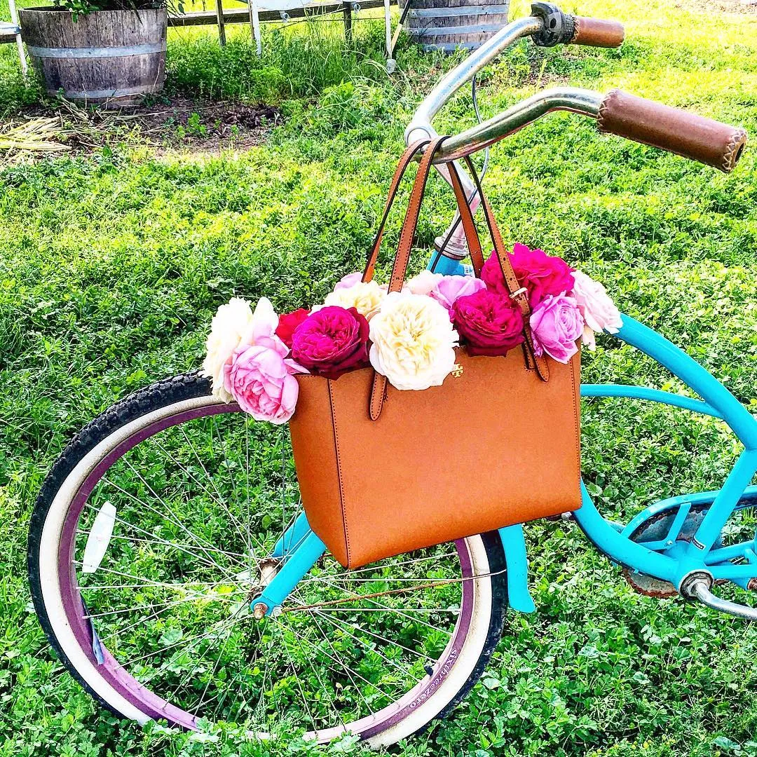 sixthreezero Classic Edition Single Speed Women's Beach Cruiser Bike