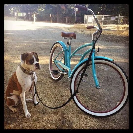 sixthreezero Classic Edition Single Speed Women's Beach Cruiser Bike