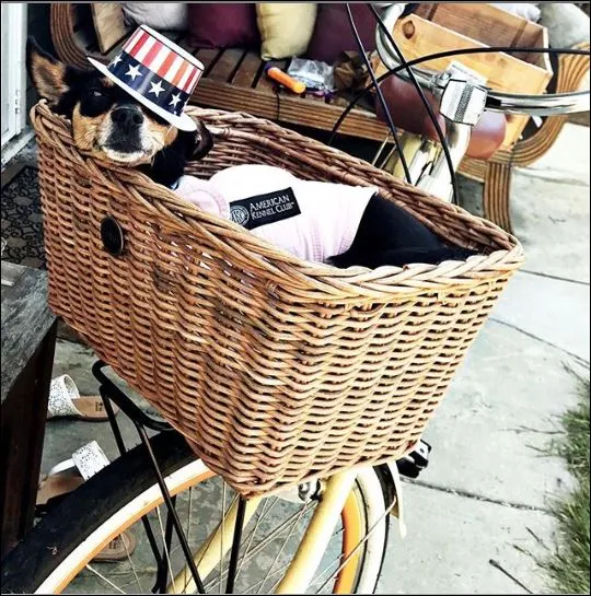 sixthreezero Classic Edition Single Speed Women's Beach Cruiser Bike