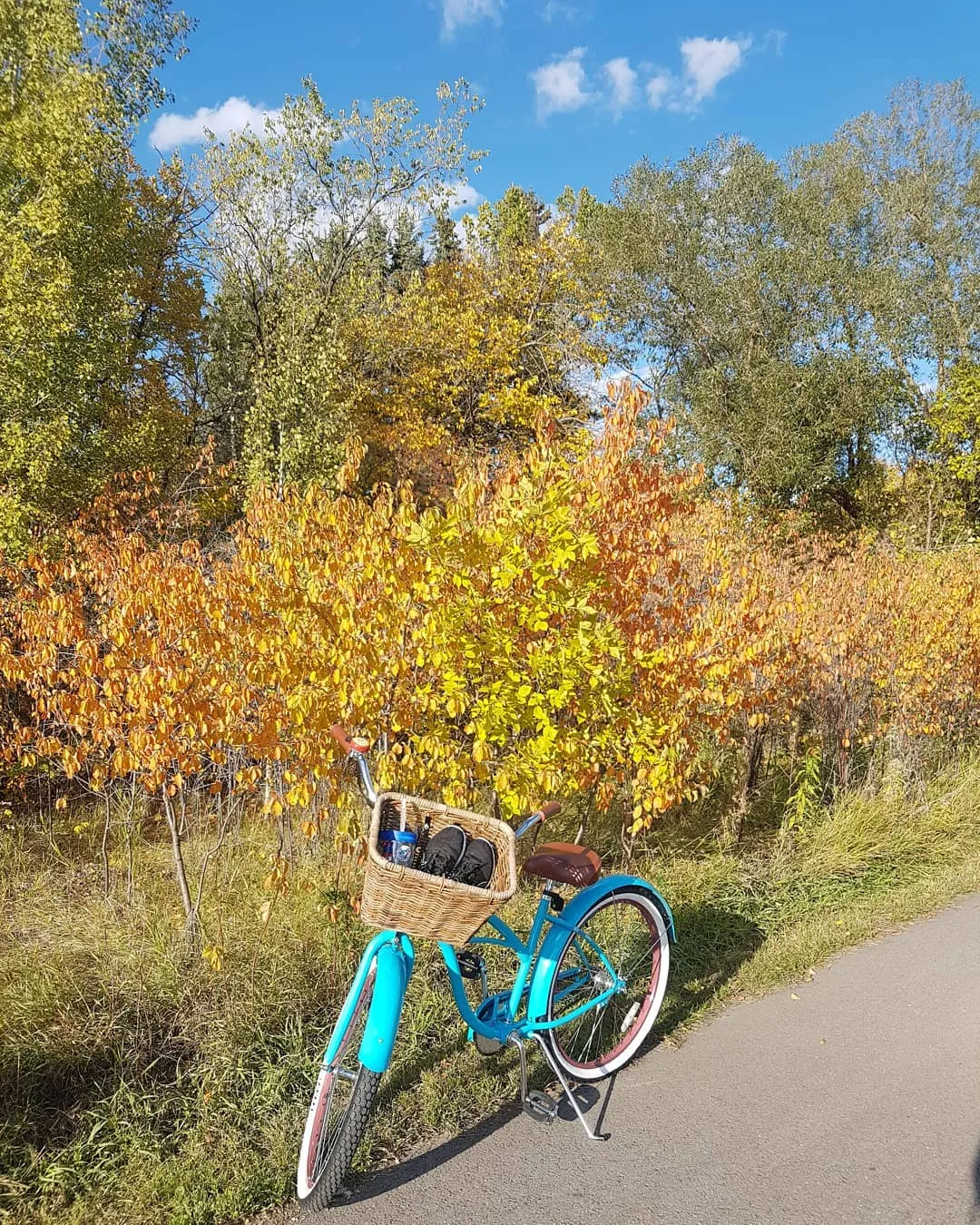 sixthreezero Classic Edition Single Speed Women's Beach Cruiser Bike